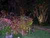enchantedgarden_small.jpg