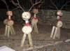 reindeer_small.jpg
