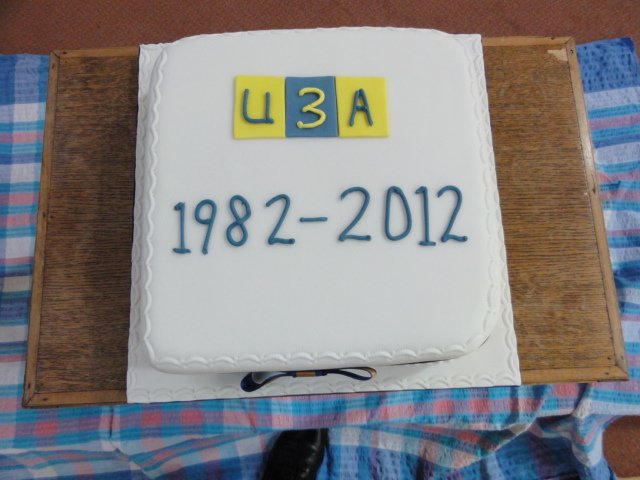 thanniversarycake.jpg