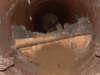 boiler3_small.jpg