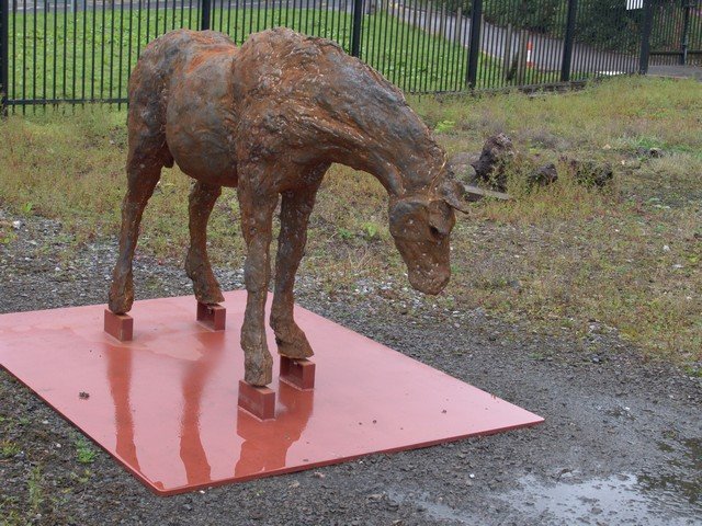 ironpony2.jpg