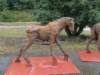 ironpony_small.jpg