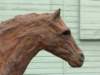 ironponyhead_small.jpg