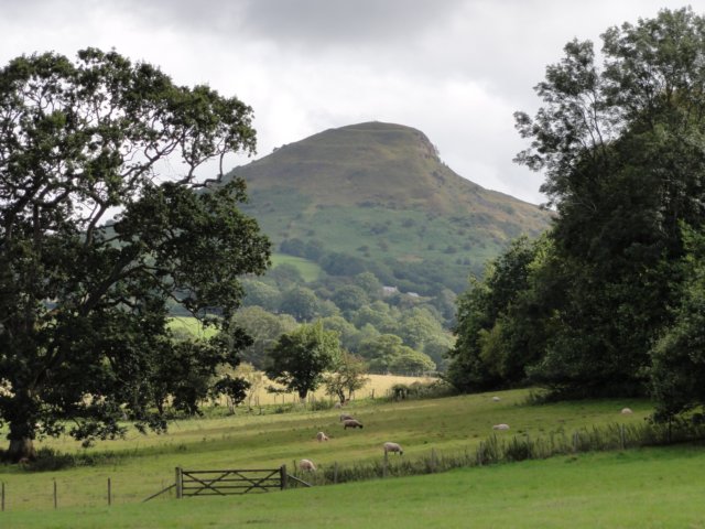 view.jpg