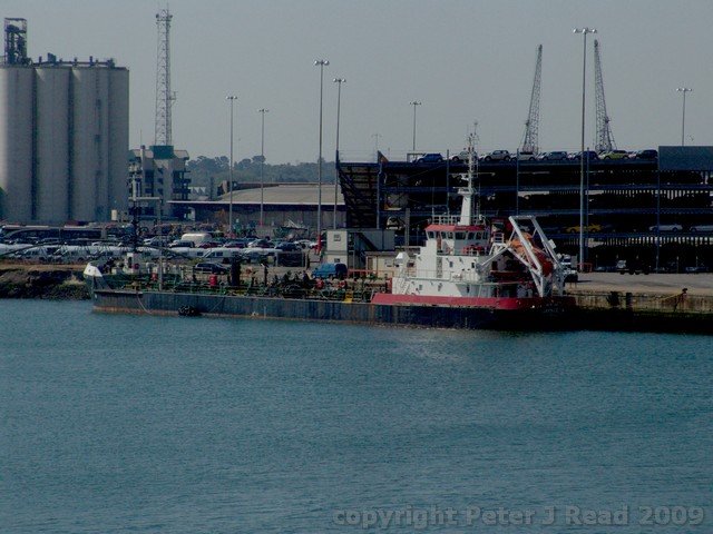 noc_0008.jpg