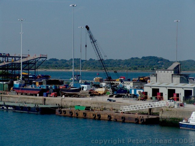 noc_0009.jpg