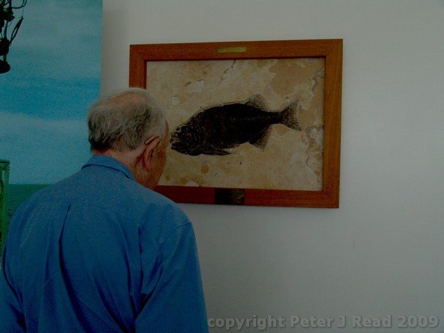 noc_0018.jpg