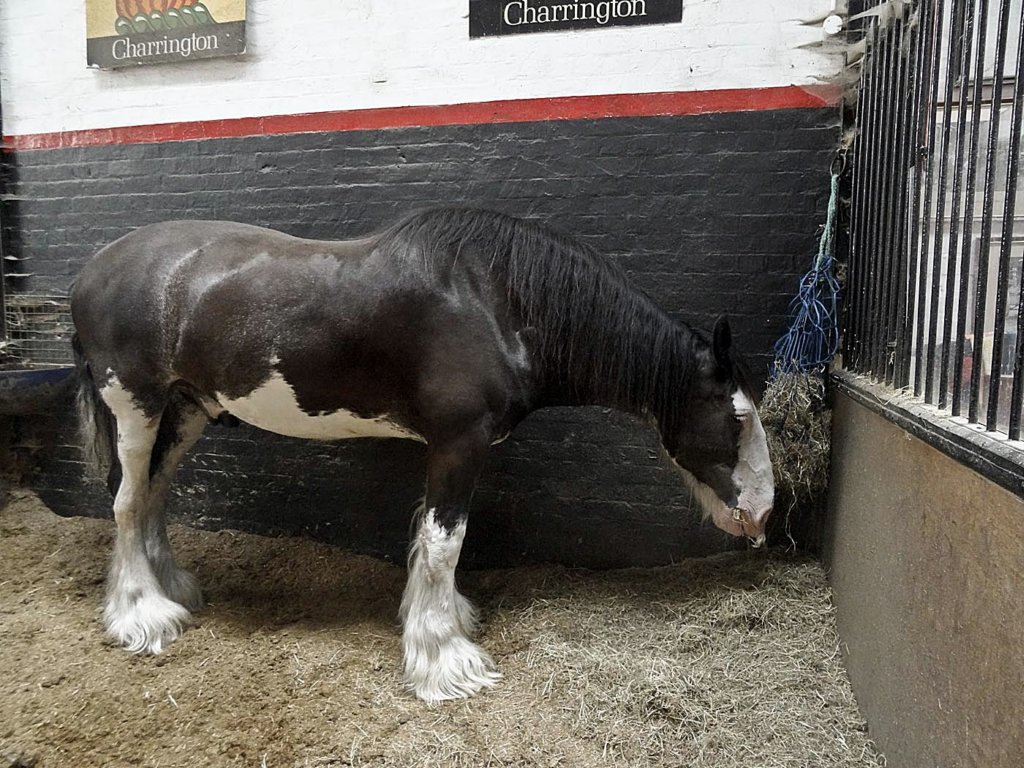 u3asctechseminar_drayhorse.jpg