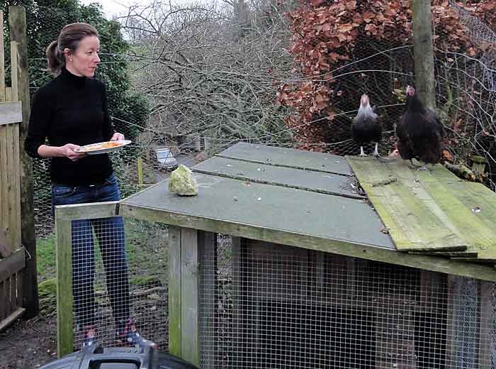 ladywiththechickens.jpg