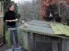 ladywiththechickens_small.jpg