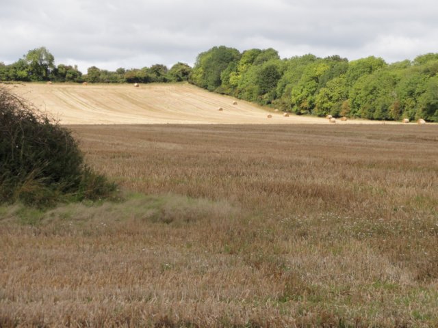 landscape.jpg