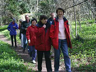 in the woods