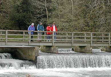 weir