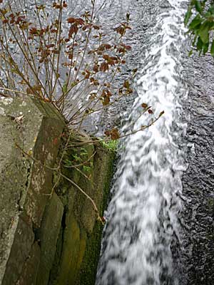 weir