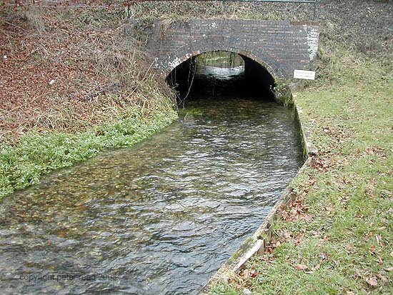 clatford22.jpg