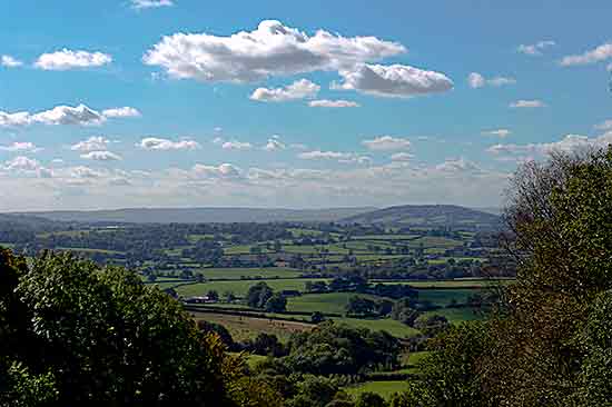 DSC00728