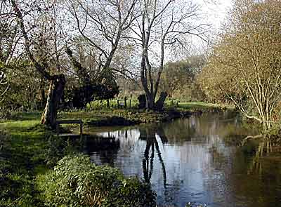 RiverWylie