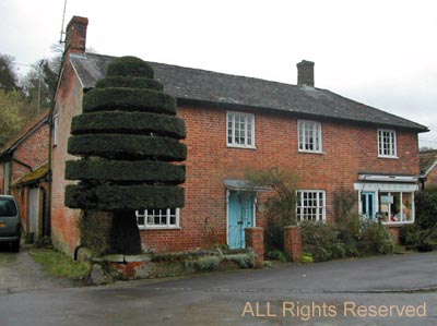 029upavon